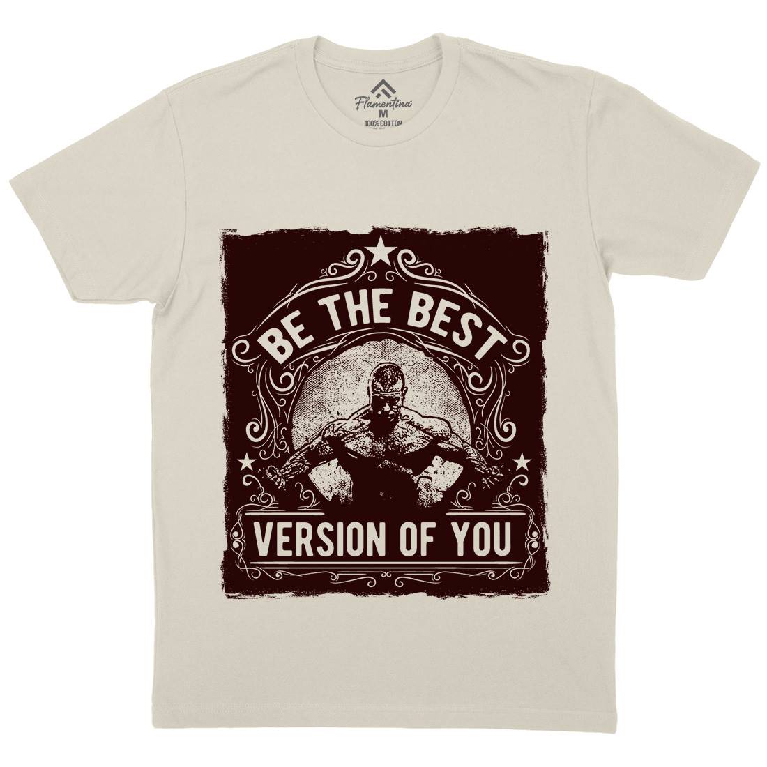 The Best Version Of You Mens Organic Crew Neck T-Shirt Gym C985