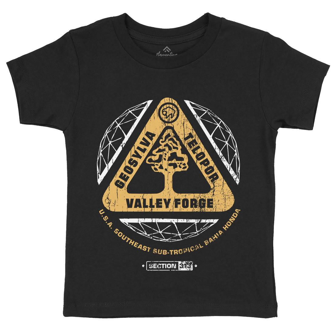 Valley Forge Kids Organic Crew Neck T-Shirt Space D200