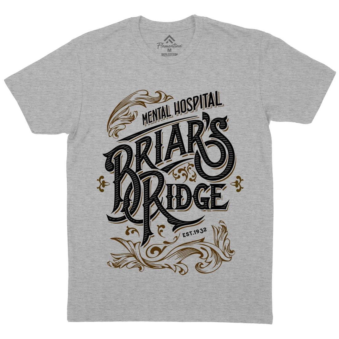 Briar Ridge Mens Organic Crew Neck T-Shirt Retro D367