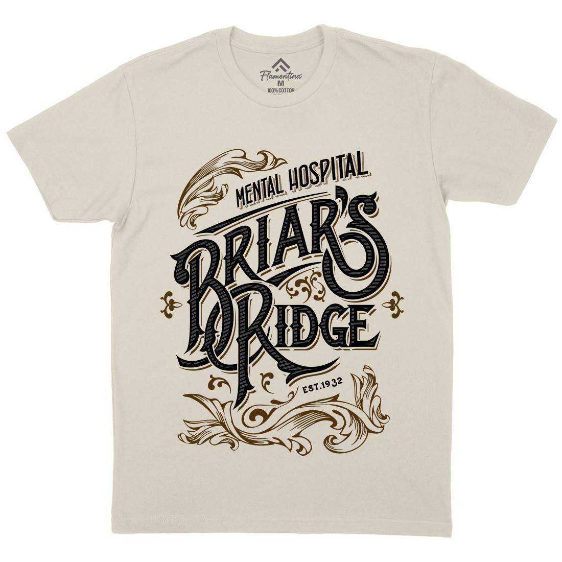 Briar Ridge Mens Organic Crew Neck T-Shirt Retro D367