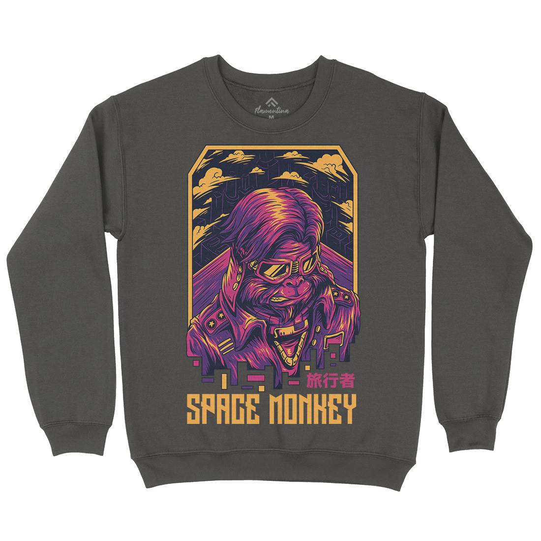 Monkey Kids Crew Neck Sweatshirt Space D829