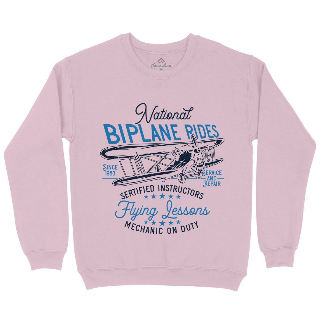 Biplane Rides Kids Crew Neck Sweatshirt Vehicles D910