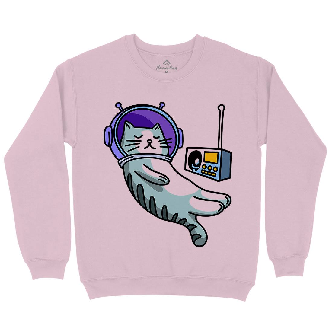 Cat Radio Kids Crew Neck Sweatshirt Space D979
